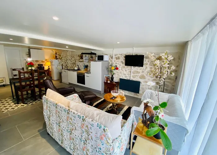 Feriehus Maison Des Vignes Avec Menage, Draps Et Serviettes Inclus Tabanac