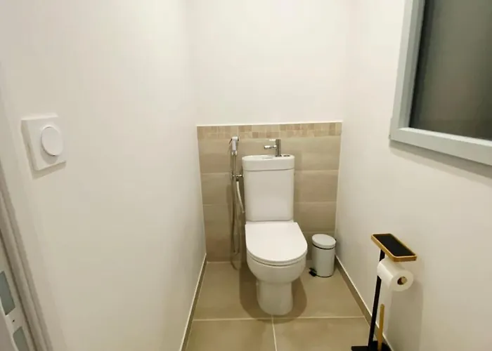 Maison Des Vignes, Climatisee Avec Menage, Draps Et Serviettes Inclus Tabanac